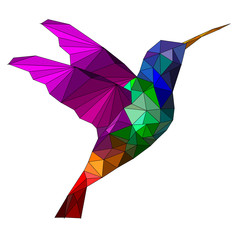 Isolated Low poly colorful Hummingbird with blue back ground,animal geometric,vector.	