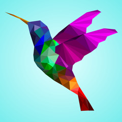 Isolated Low poly colorful Hummingbird with blue back ground,animal geometric,vector.	