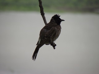 Waiting For Someone Special-2