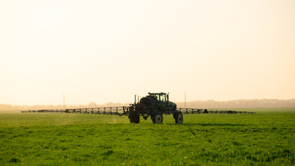 Fototapeta na wymiar Tractor on the sunset background. Tractor with high wheels is making fertilizer on young wheat.