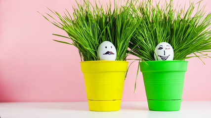 Easter background concept with funny ester egss and green grass