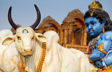 Idol of Hindu god Sri Krisna play with  cow, idol, in a temple