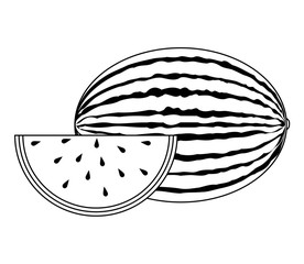 fresh healthy watermelon fruit and slice