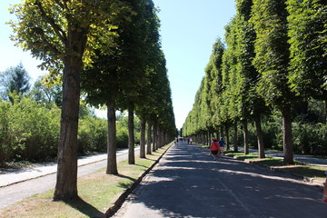 alley in the park