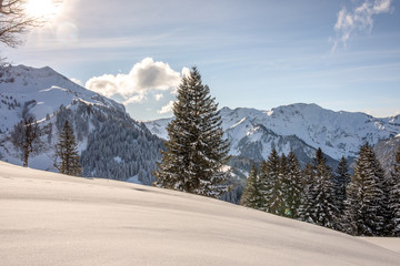 verschneite Winterlandschaft in den Alpen