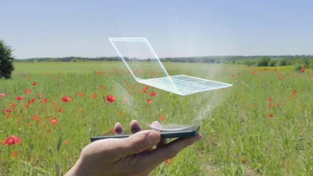 Hologram of ultra laptop on a smartphone. Person activates holographic image on the phone screen on the field with blooming poppies
