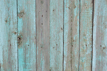 Vintage wood background with peeling paint.Old wooden texture background. Blue, aquamarine color. Design concept. Background.light blue wooden background