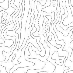 Topographic map background. Geographic World Topography map grid abstract vector illustration. Topo map with elevation.
