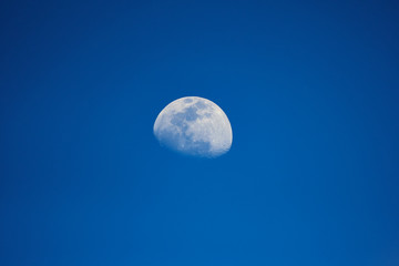 Moon