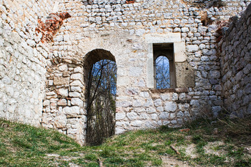 Fototapeta premium old wall from a castle ruin in the woods
