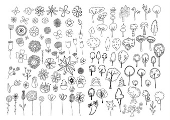 Vintage decorative flowers set. Hand drawn design elements