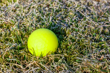 golf ball bright green on frost grass