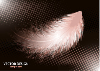 Colorful realistic bird feathers isolated on black background, halftone effects. Vector illustration for your design.