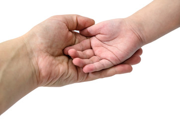 female and children's hand on a white background