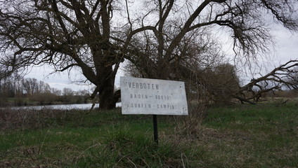 Spaziergang Entlang Donau alter Wald umwelt verschmutzung
