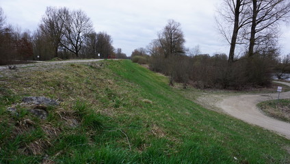 Spaziergang Entlang Donau alter Wald umwelt verschmutzung