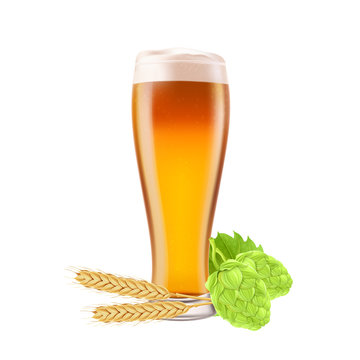 Glass of beer on a white background with hop cones and spikelet of wheat. Vector illustration