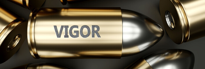 Vigor as a killer feature, main trait and most important attribute - power of vigor pictured as a 3d render of a metal bullet with engraved English word, 3d illustration