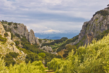 a 60 kilometros de la sierra a traves del monte