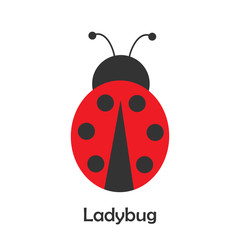 Fototapeta premium Ladybug in cartoon style, spring card for kid, preschool activity for children, vector illustration
