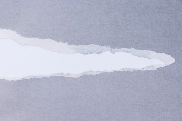 Ragged edge of gray paper on white surface. Empty background.