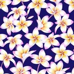 Fototapeta na wymiar Tropical white plumeria flowers on dark background. Watercolor seamless pattern of hawaiian plants.