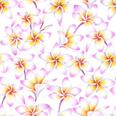 Fototapeta premium Tropical background with white plumeria flowers. Watercolor seamless pattern of hawaiian plants.