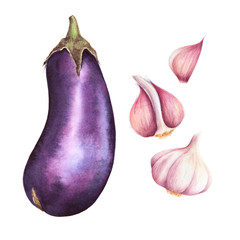 Isolated eggplant and garlic watercolor illustration. Set of hand drawn organic vegetables.