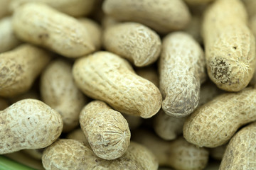 Monkey Nuts and Peanuts