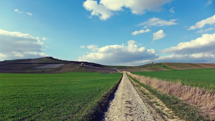 Pflasterweg durch Wiesen und Weinberge