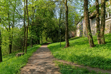 Fototapeta premium Walking path in the park.
