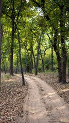 wild life in different national parks of india
