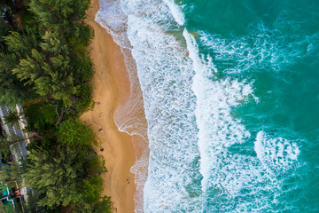 Aerial view of seabeach with wave and green tree