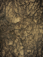 Vintage,retro wooden background,tree trunk 