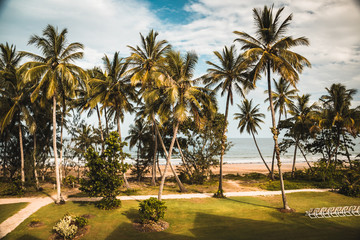 Palmen am Strand einer Hotelanlage