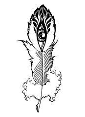 bizarre feather with eyes, vector illustration