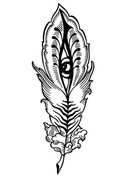 bizarre feather with eyes, vector illustration
