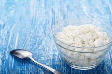 fresh cottage cheese in a plate