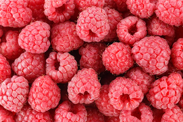 fresh raspberry as background