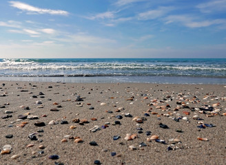 sassi e conchiglie sulla riva del mare fuori stagione