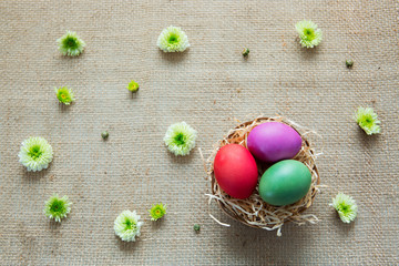 Easter eggs and white aster. Festive decoration on cloth background.