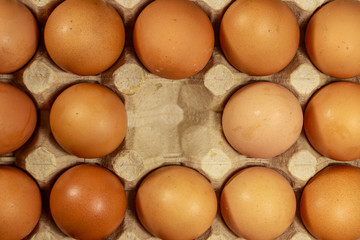 Raw chicken eggs in cardboard egg box with empty space