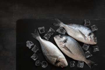 Fresh dorado fish with ice on stone cutting board on dark table. Top view, copy space.