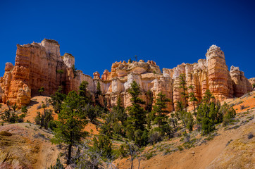 Fototapeta na wymiar Hoodoos at Bryce Canyon