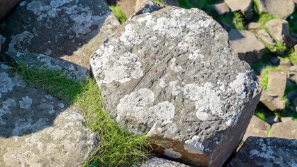 11260_One_of_the_many_big_rocks_in_the_columns.jpg