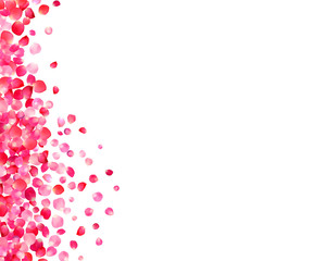 Background with pink rose petals