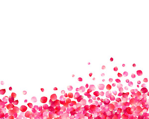 Background with pink rose petals