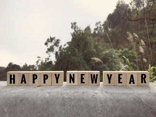 Happy New Year concept - HAPPY NEW YEAR written on wooden blocks. Blurred styled background.