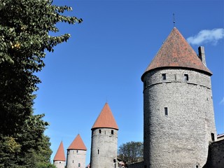 Fototapeta premium Old Town in Tallinn