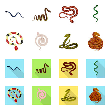 Vector illustration of mammal and danger logo. Collection of mammal and medicine stock symbol for web.